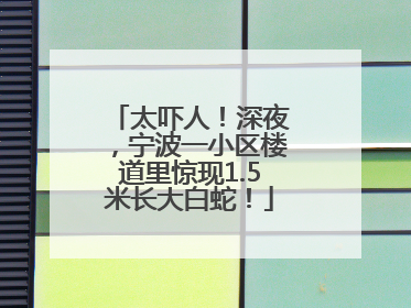 太吓人！深夜，宁波一小区楼道里惊现1.5米长大白蛇！