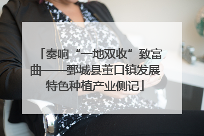 奏响“一地双收”致富曲——鄄城县董口镇发展特色种植产业侧记