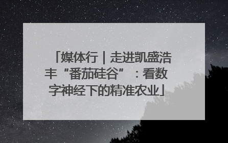 媒体行｜走进凯盛浩丰“番茄硅谷”：看数字神经下的精准农业