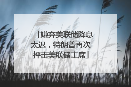 嫌弃美联储降息太迟，特朗普再次抨击美联储主席