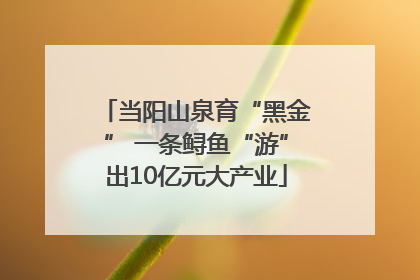 当阳山泉育“黑金” 一条鲟鱼“游”出10亿元大产业