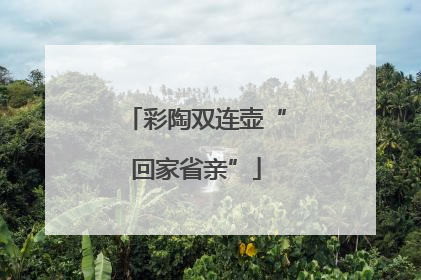 彩陶双连壶“回家省亲”