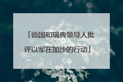 德国和瑞典领导人批评以军在加沙的行动