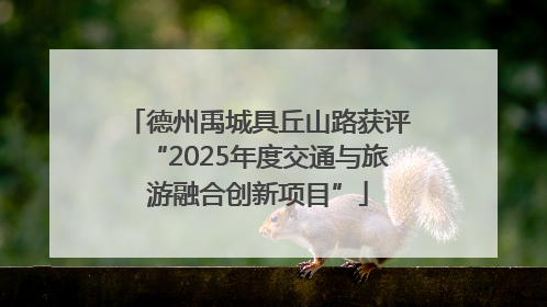 德州禹城具丘山路获评“2025年度交通与旅游融合创新项目”