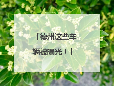 德州这些车辆被曝光！
