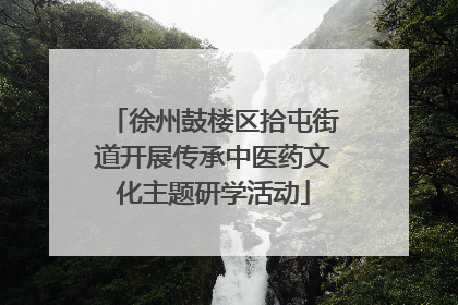 徐州鼓楼区拾屯街道开展传承中医药文化主题研学活动
