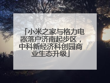 小米之家与格力电器落户济南起步区，中科新经济科创园商业生态升级
