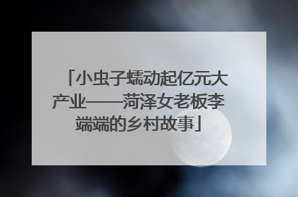 小虫子蠕动起亿元大产业——菏泽女老板李端端的乡村故事