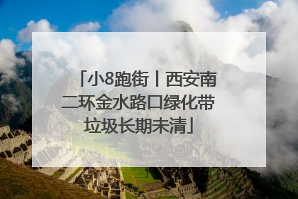 小8跑街丨西安南二环金水路口绿化带垃圾长期未清