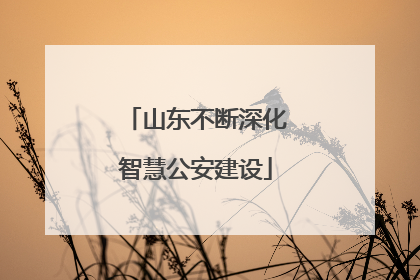 山东不断深化智慧公安建设