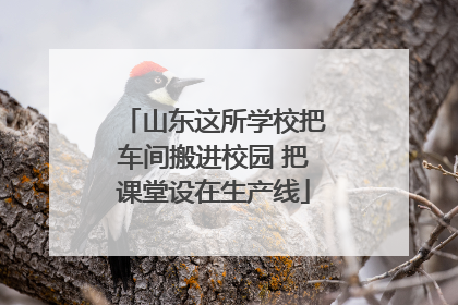 山东这所学校把车间搬进校园 把课堂设在生产线