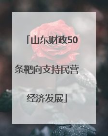 山东财政50条靶向支持民营经济发展