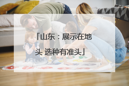 山东：展示在地头 选种有准头