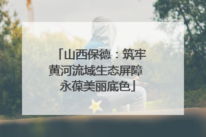 山西保德：筑牢黄河流域生态屏障 永葆美丽底色