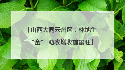 山西大同云州区：林地生“金” 助农增收前景旺