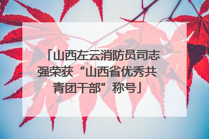 山西左云消防员司志强荣获“山西省优秀共青团干部”称号