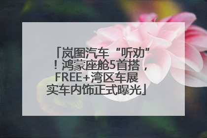 岚图汽车“听劝”！鸿蒙座舱5首搭，FREE+湾区车展实车内饰正式曝光