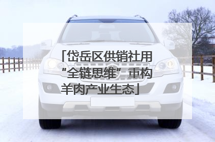 岱岳区供销社用“全链思维”重构羊肉产业生态