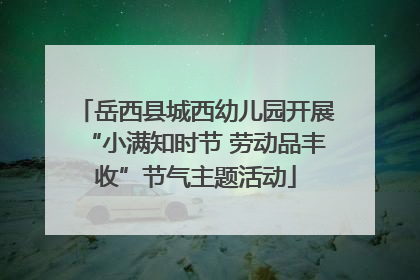岳西县城西幼儿园开展“小满知时节 劳动品丰收”节气主题活动