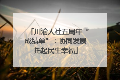 川渝人社五周年“成绩单”：协同发展托起民生幸福