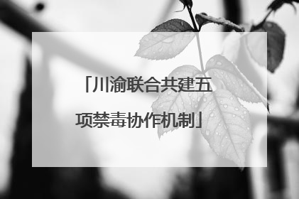 川渝联合共建五项禁毒协作机制