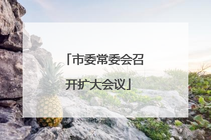市委常委会召开扩大会议