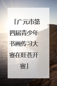广元市第四届青少年书画传习大赛在旺苍开赛