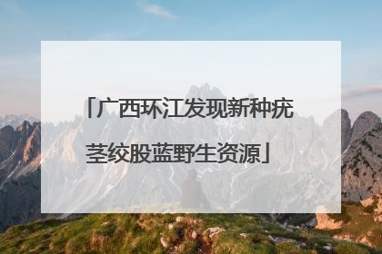 广西环江发现新种疣茎绞股蓝野生资源