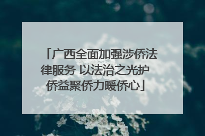 广西全面加强涉侨法律服务 以法治之光护侨益聚侨力暖侨心