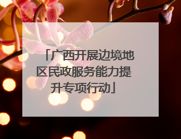 广西开展边境地区民政服务能力提升专项行动