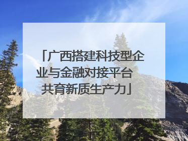 广西搭建科技型企业与金融对接平台 共育新质生产力