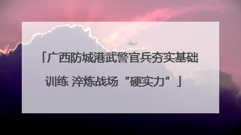 广西防城港武警官兵夯实基础训练 淬炼战场“硬实力”