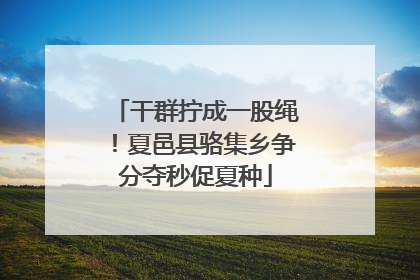 干群拧成一股绳！夏邑县骆集乡争分夺秒促夏种