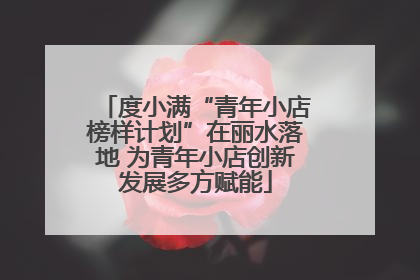 度小满“青年小店榜样计划”在丽水落地 为青年小店创新发展多方赋能