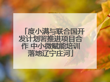 度小满与联合国开发计划署推进项目合作 中小微赋能培训落地辽宁庄河