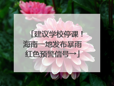 建议学校停课！海南一地发布暴雨红色预警信号→