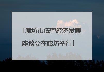 廊坊市低空经济发展座谈会在廊坊举行