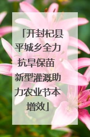 开封杞县平城乡全力抗旱保苗 新型灌溉助力农业节本增效