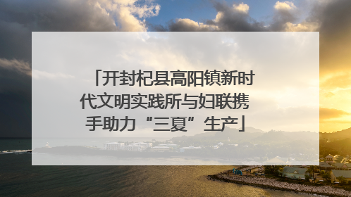 开封杞县高阳镇新时代文明实践所与妇联携手助力“三夏”生产
