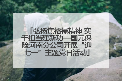 弘扬焦裕禄精神 实干担当建新功—国元保险河南分公司开展“迎七一”主题党日活动
