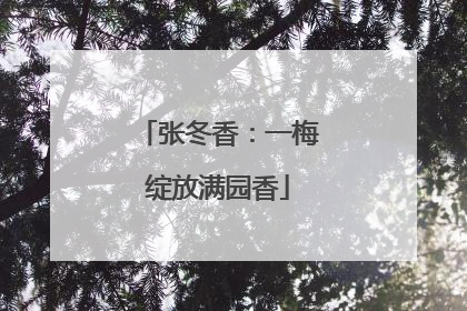 张冬香：一梅绽放满园香