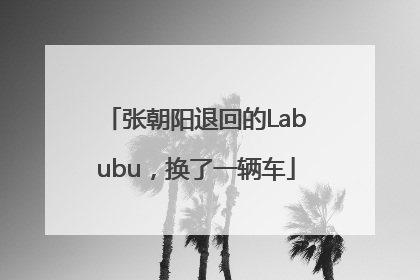 张朝阳退回的Labubu，换了一辆车