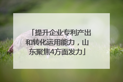提升企业专利产出和转化运用能力，山东聚焦4方面发力