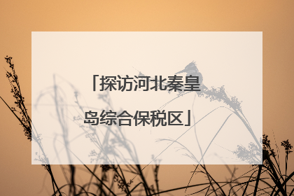 探访河北秦皇岛综合保税区
