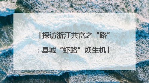 探访浙江共富之“路”：县城“虾路”焕生机