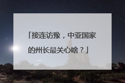 接连访豫，中亚国家的州长最关心啥？