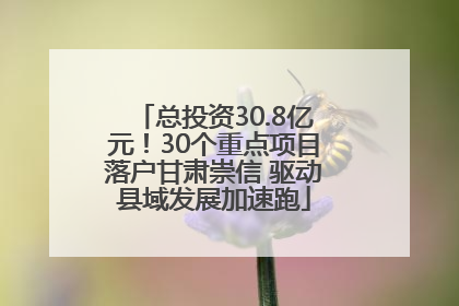 总投资30.8亿元！30个重点项目落户甘肃崇信 驱动县域发展加速跑