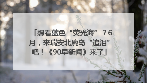 想看蓝色“荧光海”？6月，来瑞安北麂岛“追泪”吧！《90早新闻》来了