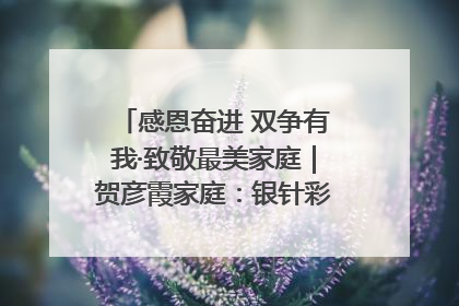 感恩奋进 双争有我·致敬最美家庭｜贺彦霞家庭：银针彩线绣出好日子