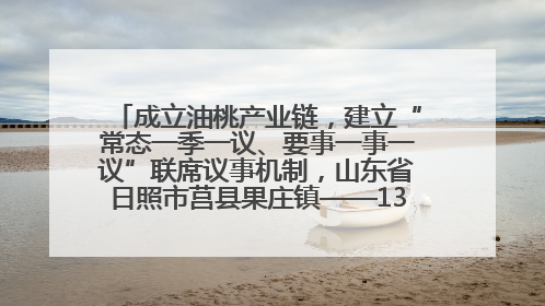 成立油桃产业链，建立“常态一季一议、要事一事一议”联席议事机制，山东省日照市莒县果庄镇——13个党小组“全周期”育果
